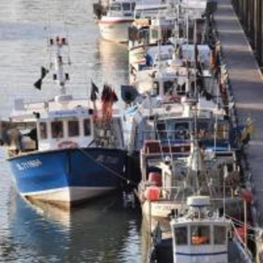 Meuble 4 Etoiles, A 2Mn De Nausicaa, Vue Sur Port Et Mer Булонь-сюр-Мер Экстерьер фото